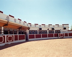 Aparthotel Complejo El Quijote (Vitigudino, Spain)