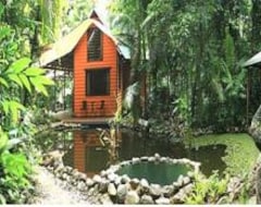 Bed & Breakfast Rainforest Hideaway (Cape Tribulation, Australija)