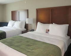 Otel Comfort Inn & Suites Schenectady - Scotia (Schenectady, ABD)