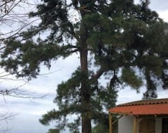 Tüm Ev/Apart Daire Modern Solar Powered Home W/views, Trails & Wifi (La Orotava, İspanya)