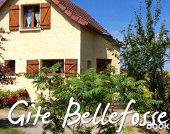 Toàn bộ căn nhà/căn hộ Maison Independante De Montagne En Alsace (Bellefosse, Pháp)