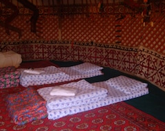 Kampiranje Yurt Camp Aydar (Navoiy, Uzbekistan)