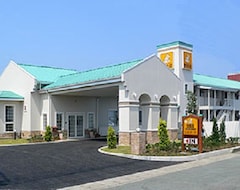 Otel Family Lodge Hatagoya Hamanako (Kosai, Japonya)