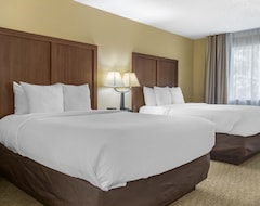 Otel Comfort Inn & Suites Bothell - Seattle North (Bothell, ABD)