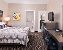 Otel Best Western Plus Park Place Inn Mini Suites (Anaheim, ABD)