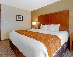 Hotel Comfort Inn & Suites Wilkes Barre - Arena (Wilkes-Barre, USA)