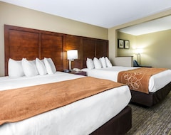 Khách sạn Comfort Suites Near I-80 And I-94 (Lansing, Hoa Kỳ)