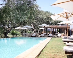 Hotel Karongwe Portfolio - Becks Safari Lodge (Hoedspruit, South Africa)