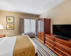 Khách sạn Comfort Suites Chesapeake - Norfolk (Chesapeake, Hoa Kỳ)