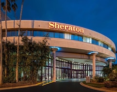 Sheraton Tampa Brandon Hotel (Tampa, ABD)