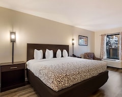 Khách sạn SureStay Hotel by Best Western St. Pete Clearwater Airport (Clearwater, Hoa Kỳ)