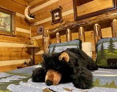 Hotel Bear Nekkid (Sevierville, USA)