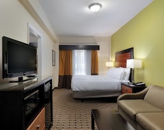 Holiday Inn Express & Suites - Atlanta Downtown, an IHG Hotel (Atlanta, USA)