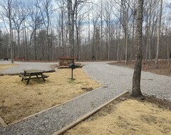 Entire House / Apartment Quiet Cabin In The Woods Close To Hiking (dog Friendly) (Altamont, USA)