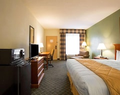 Otel Clarion Inn & Suites (Aiken, ABD)