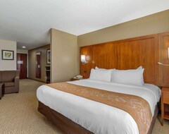 Khách sạn Comfort Suites North Pflugerville - Austin North (Pflugerville, Hoa Kỳ)