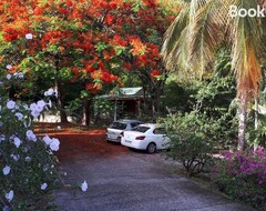 Casa/apartamento entero Gite Palmier (Bouillante, Antillas Francesas)