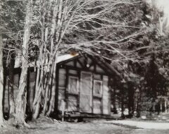 Entire House / Apartment Viisi (#5) - Cabin On Otter Lake, Manninens Cabins (Pelkie, USA)
