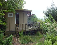 Hele huset/lejligheden Lovely Cabin In The Trees, Sawyers Bay, Dunedin. (Dunedin, New Zealand)