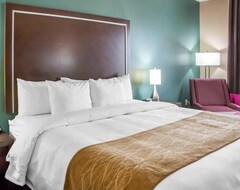 Hotel Comfort Inn & Suites (San Marcos, USA)