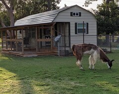 Cijela kuća/apartman Gerries Place2-private-cottage-rescue Llama Ranch (Cypress, Sjedinjene Američke Države)