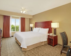 Otel Homewood Suites By Hilton Tampa-Brandon (Tampa, ABD)
