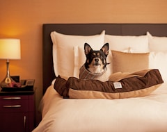 Hotel Hyatt Place Atlanta Buckhead (Atlanta, USA)