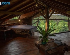 Koko talo/asunto Wild Cabin In Colombia (Caicedonia, Kolumbia)