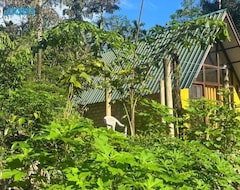 Otel Rainforest cabin (Kandapola, Sirilanka)