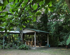 Koko talo/asunto House Surrounded By Nature, Ideal To Rest. (Jacó, Costa Rica)
