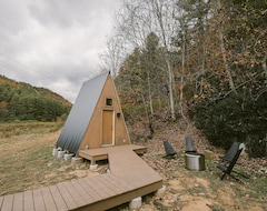 Casa/apartamento entero Go Wanderin: New Modern Scandi Cabin Hot Tub Sauna (Lansing, EE. UU.)