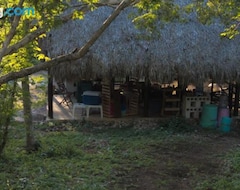 Kamp Alanı Aldea Venado Camping (Cacalchén, Meksika)
