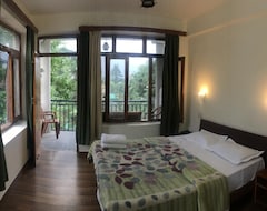 Hotel Tourist (Manali, India)