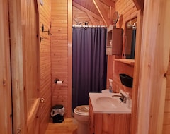 Entire House / Apartment Cozy Cabin, Big South Fork, Horse Property/hiking /kayaking (Jamestown, USA)