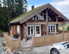 Cijela kuća/apartman Ny Tommerhytte (Rollag, Norveška)