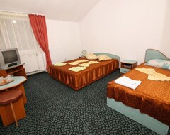 Toàn bộ căn nhà/căn hộ Economy Triple Room, Mountain View (Timișu de Sus, Romania)