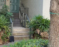 Toàn bộ căn nhà/căn hộ Great Snowbird Retreat On Harbour Island / Tampa! (Tampa, Hoa Kỳ)