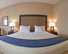 Khách sạn Holiday Inn Express Hotel & Suites - Novi, An Ihg Hotel (Novi, Hoa Kỳ)
