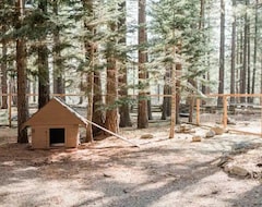 Cijela kuća/apartman Walker Ranch: Lost Sierra Mountain Escape (Portola, Sjedinjene Američke Države)