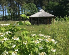 Koko talo/asunto Hollicarrs - Bumblebee Lodge (Ettrick, Iso-Britannia)