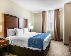 Hotel Comfort Suites Fredericksburg South (Fredericksburg, USA)