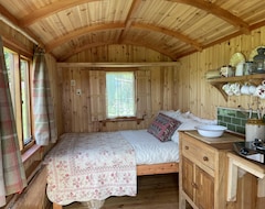 Casa/apartamento entero Cosy Off Grid Shepherds Hut In Village Location (Castle Douglas, Reino Unido)