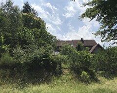 Toàn bộ căn nhà/căn hộ GÎte Du Rocher, 3 En Centre Alsace (Lapoutroie, Pháp)