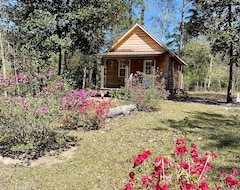 Hele huset/lejligheden Creekside Magnolia Cabin Retreat With 700 Of Creek Front & 2 Sandbars! (Perkinston, USA)