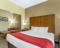 Hotel Comfort Inn Waynesboro (Waynesboro, ABD)