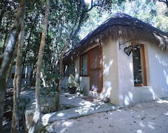 Toàn bộ căn nhà/căn hộ Cachito de Cielo Luxury Jungle Lodge (Tulum, Mexico)