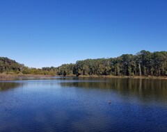 Hele huset/lejligheden Secluded Waterfront Cabin On A Cove -- Fish Directly From Property! (San Augustine, USA)