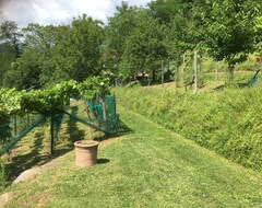 Hele huset/lejligheden Old Farmhouse, Simply Renovated, With Infinity Pool (Bagni di Lucca, Italien)