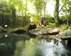 Ryokan Shinwaen (Aso, Japón)