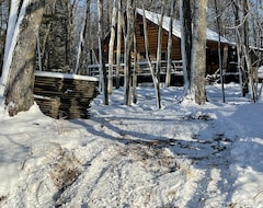Entire House / Apartment Hand Built Log Cabin On Farm Island Lake (Aitkin, USA)